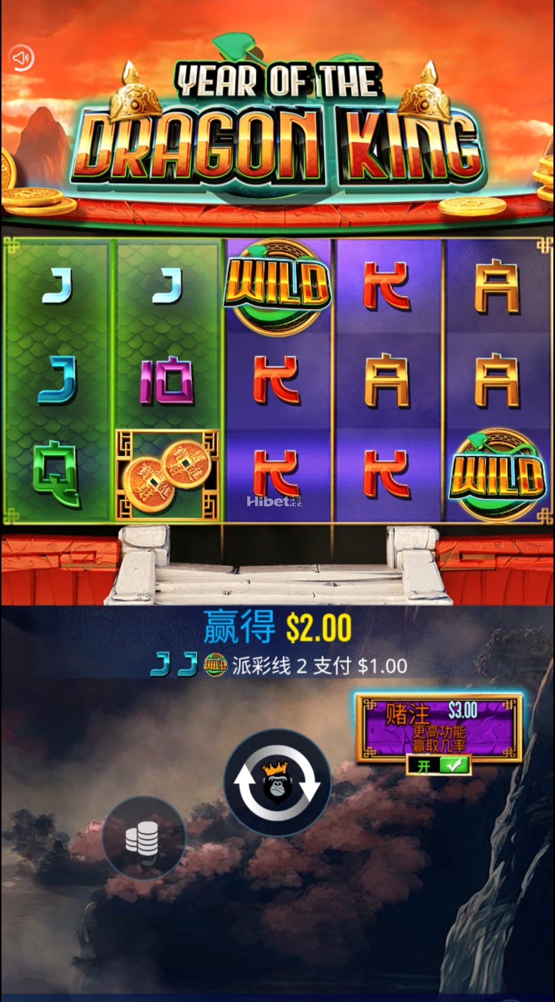 d4.jpg
