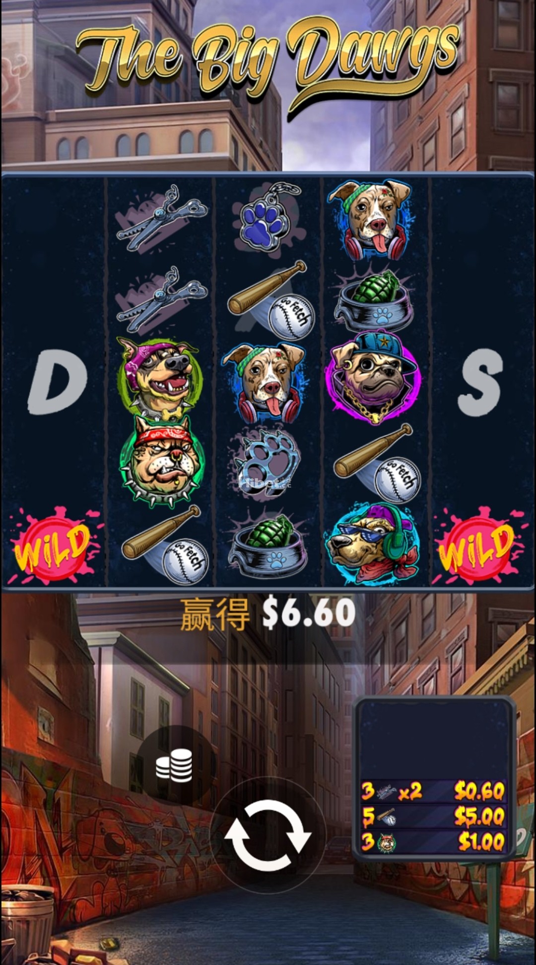 d4.jpg